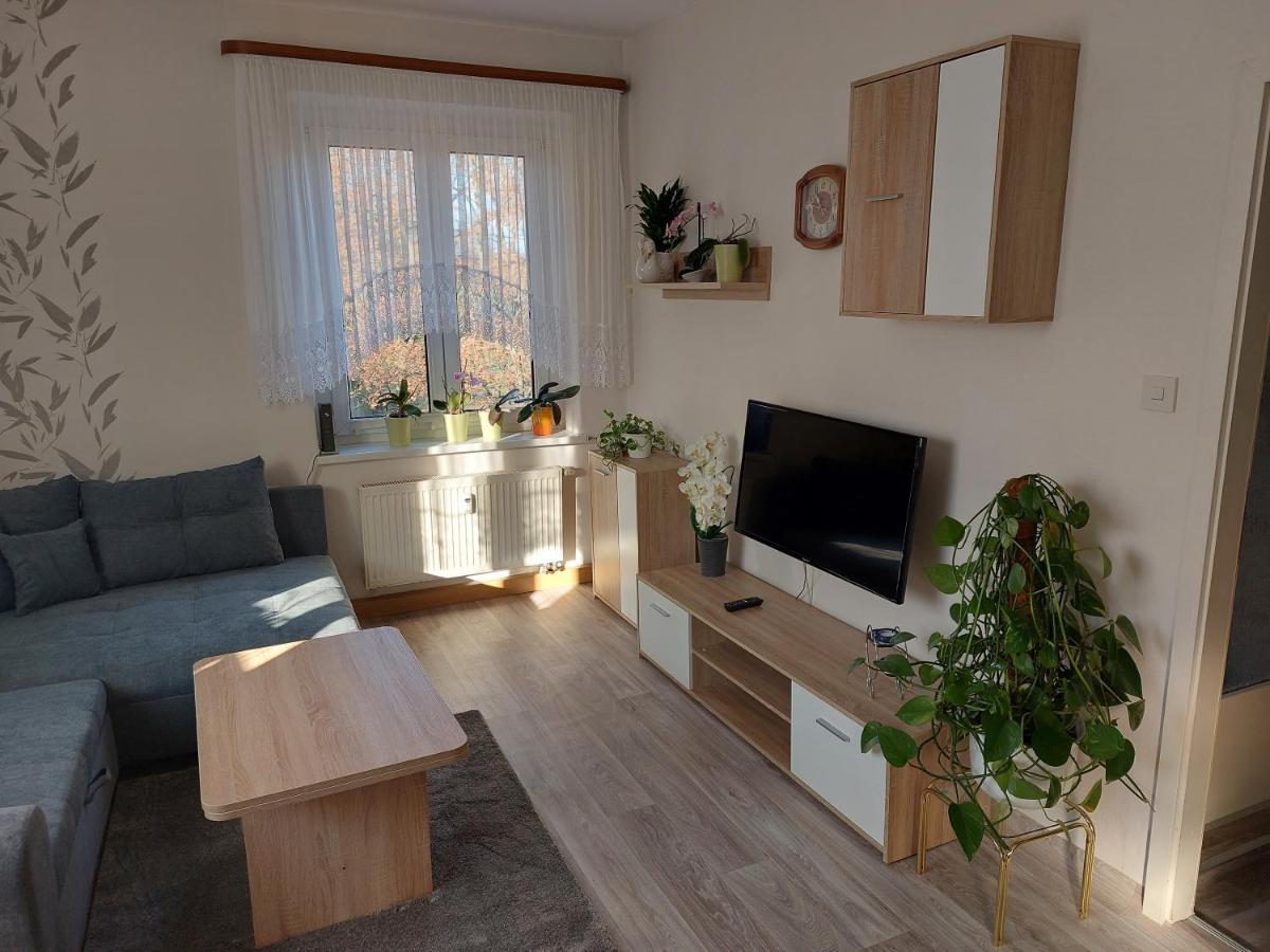 Ferienwohnung Lehmann Pirna Buitenkant foto